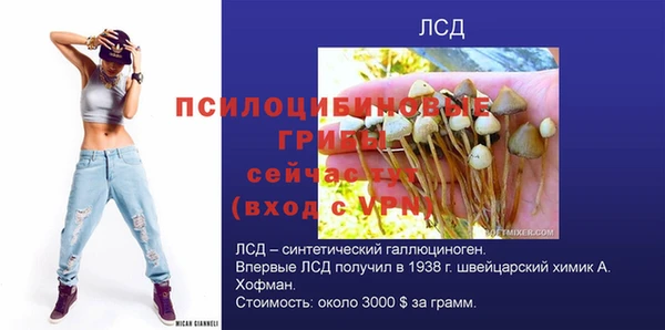 винт Аркадак