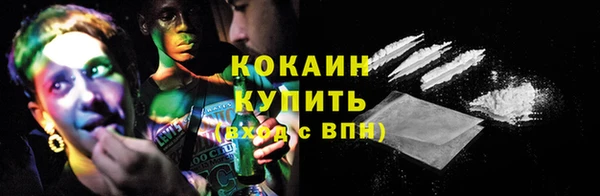 ГАЛЛЮЦИНОГЕННЫЕ ГРИБЫ Арсеньев