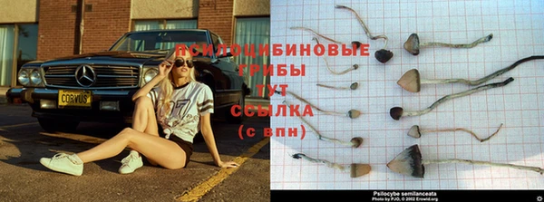 соль курить ск Армянск
