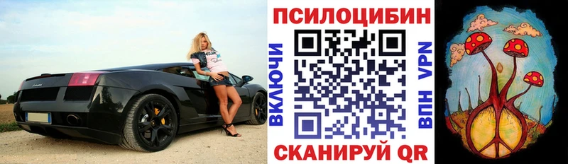 Псилоцибиновые грибы MAGIC MUSHROOMS kraken рабочий сайт Кувшиново